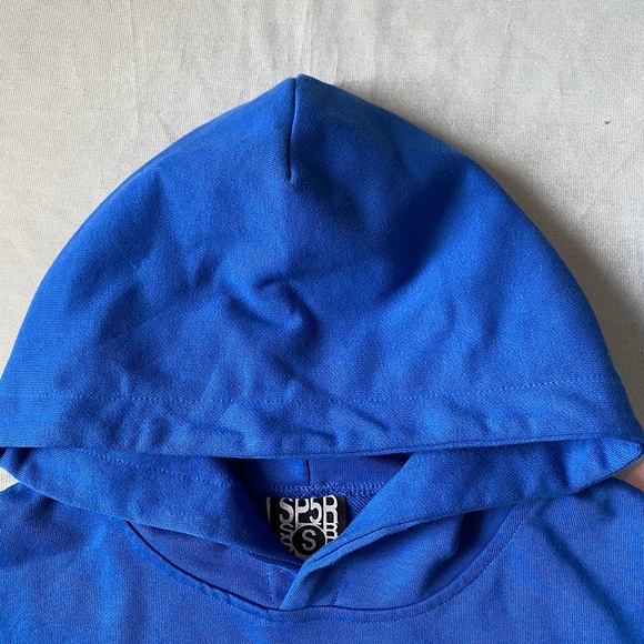 Sp5der Blue Long Sleeve Hooded Spider Print Sweatshirt - Picture 3 of 6